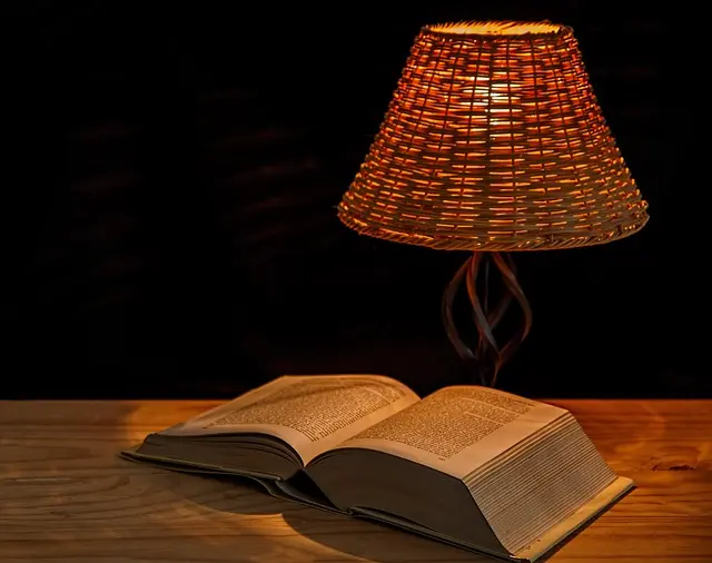 Guide pour choisir les meilleures lampes anciennes